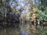 10-D Congaree National Park